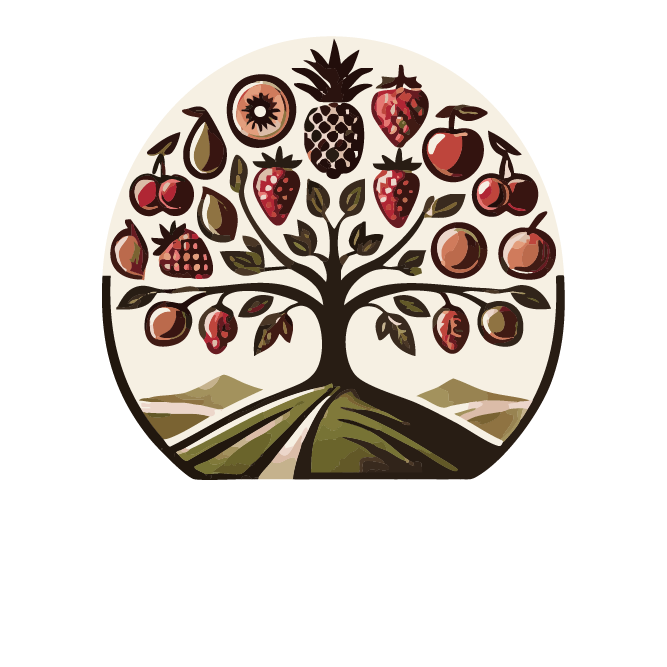 Trockenfrüchte OASE