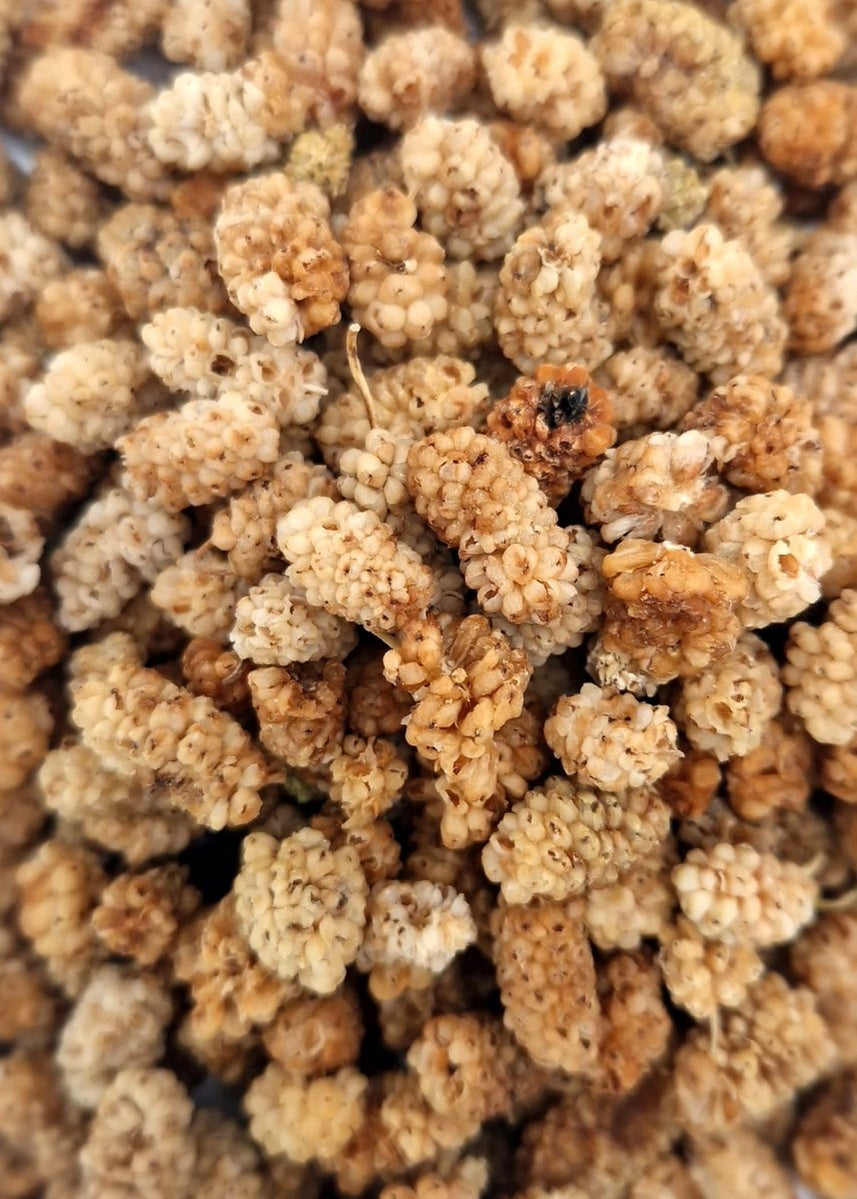 Maulbeeren Getrocknet - Trockenfrüchte OASE