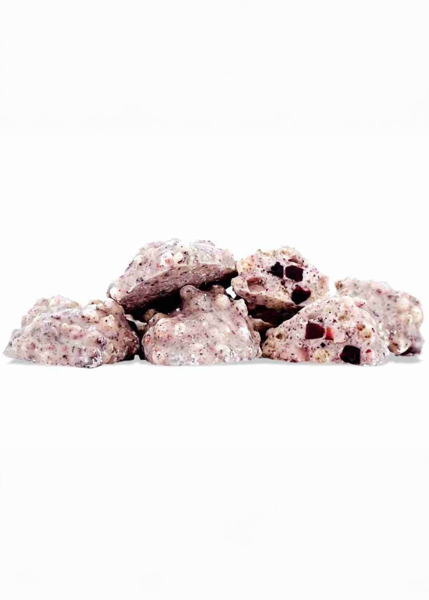 Schoko Blaubeer Crispy - Trockenfrüchte OASE